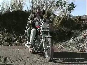 Brazilian Tasty Truckers