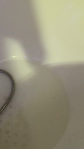 Undressed in the Bathroom