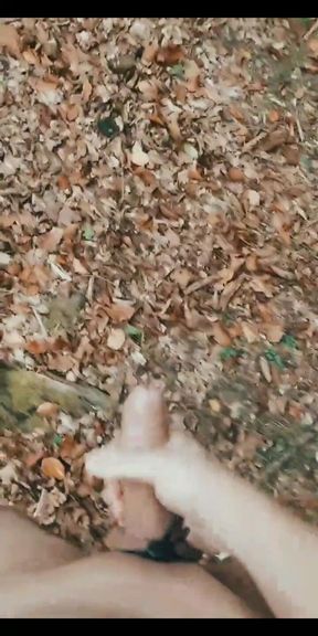 Huge 9 spurt cumshot in the woods