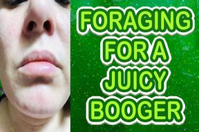 FORAGING FOR A JUICY BOOGER