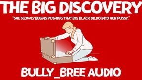 The Big Discovery Audio