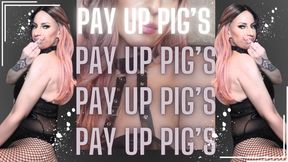 Pay Up Piggie!