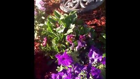 modern day flower starring kayla kandy