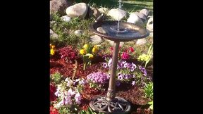 modern day flower starring kayla kandy