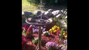 modern day flower starring kayla kandy