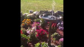 modern day flower starring kayla kandy