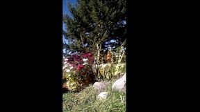 modern day flower starring kayla kandy