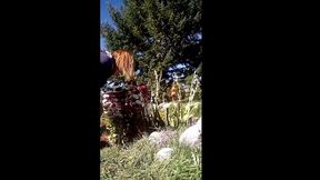 modern day flower starring kayla kandy