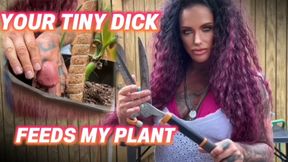 YOUR TINY DICK FEEDS MY PLANT - Mistress Raven gives you a penectomy so She can use it to feed her plant