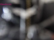 That's A Wrap Executrix Free Preview