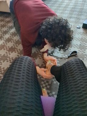 Human stool and complete submission