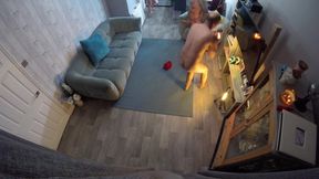 Full Length Movie Bisxual Threesome Real Life Wife Sharing