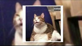 Lil Mvrcelin - OK GATINHO