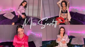 Scarlett's sexy satin blouse bundle 2