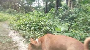 Desi gay tashjendar shemele forest handjob