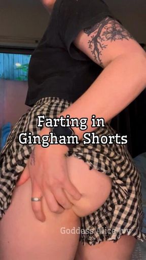 Loud Farting in Gingham Shorts