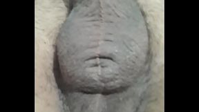 Tha skasoun ta arxidia mou