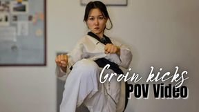 Groin kicks | POV session, front kicks, knee strikes