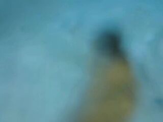 traier: live in the water, love by the moon