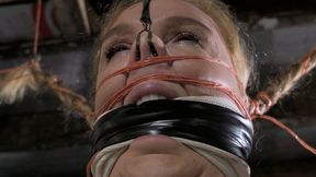 Ariel Anderssen Spider pt2