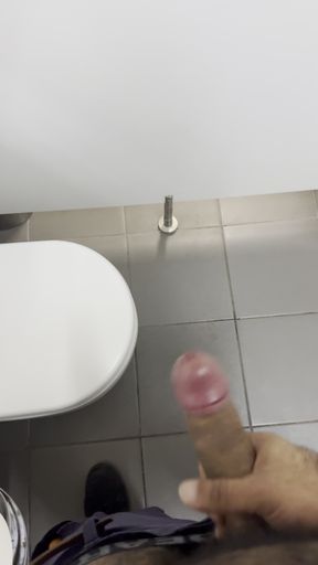 Jerking off in a Public Restroom