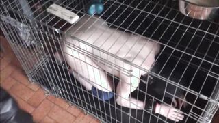 BDSM Porn HD scene 708