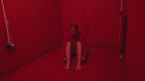 5113 Layla in Red Room Cuffs