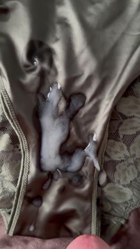 Cum on Wife's Panties 14