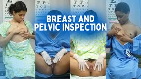 Breast and Pelvic Inspection 4K