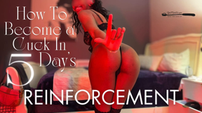 How To Become A Cuck in 5 Day