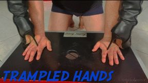 TRAMPLED HANDS -FULL HD MP4