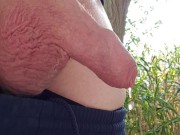 Pissing in the garden