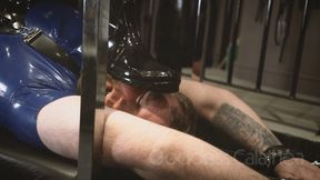 Wellington boots trampling