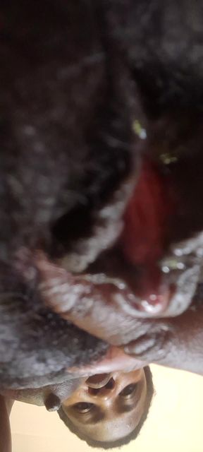 German fat hairy black pussy closeups