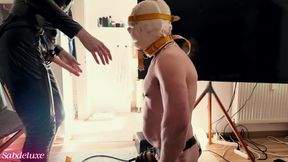 193 Venus 2000 Strapon