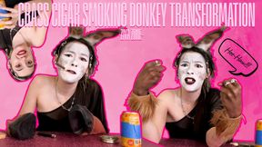 Crass Cigar Smoking Donkey Transformation 4K