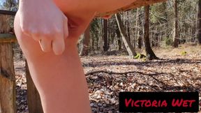 Dildo masturbation in national park in high heels