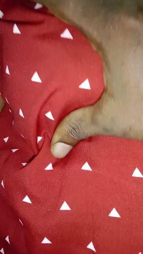 My Wife Prema Showed Me Her Breasts and Fingered Her Pussy.