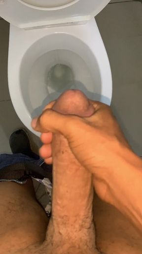 Toilet Jerk off at Work