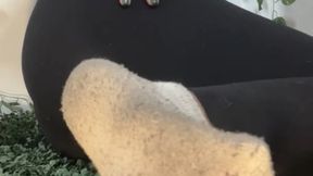 Sock Sniffing Bitch: Ebony Femdom Dirty Sock Humiliation 1080p