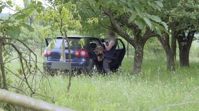 Car Fuck In The Middle Of The Woods