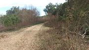 OMG I HAD TO PISS SO BAD!! PISSING ON SIDE OF DIRT ROAD!!!!