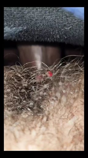 Slim Hairy Booty Backshots