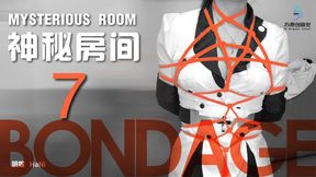 "Mysterious Room 7 (Chinese Model)