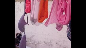 pnties sister in law