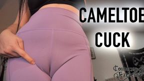 Cameltoe Cuck