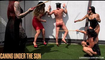 CANING UNDER THE SUN -hd