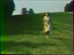 Investigation of Vice (1977)