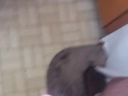 Cock and ice cube
