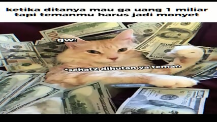 Meme